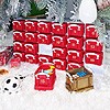 0.14 litre x24 Christmas Advent Calendar Organiser Pack